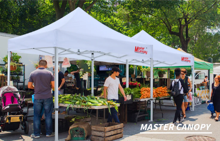 10x10 Master Series Aluminum Canopy – Installation Manual